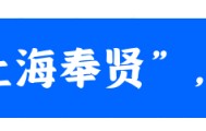 热血绿茵，燃动奉贤！第三届“海里杯”职工足球赛精彩收官
