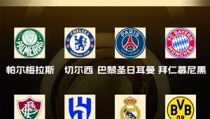 开云官网-世俱杯6大联赛！世俱杯8强联赛：沙特1队 德甲&amp;巴甲2队 英法西1队