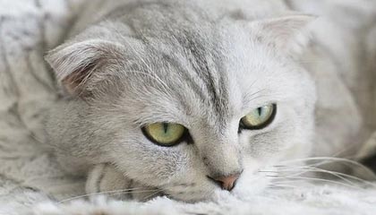 华体会体育体验：让热血在每一次出发中绽放